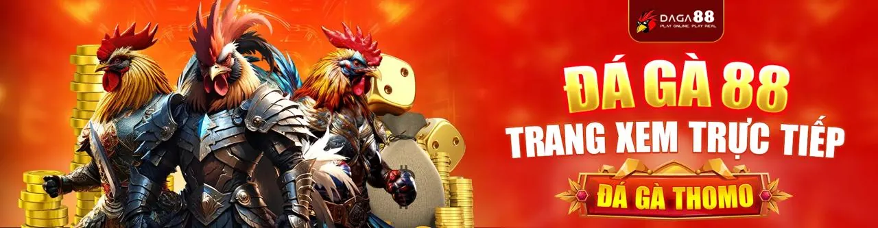 Sân đấu chọi gà tại Win55