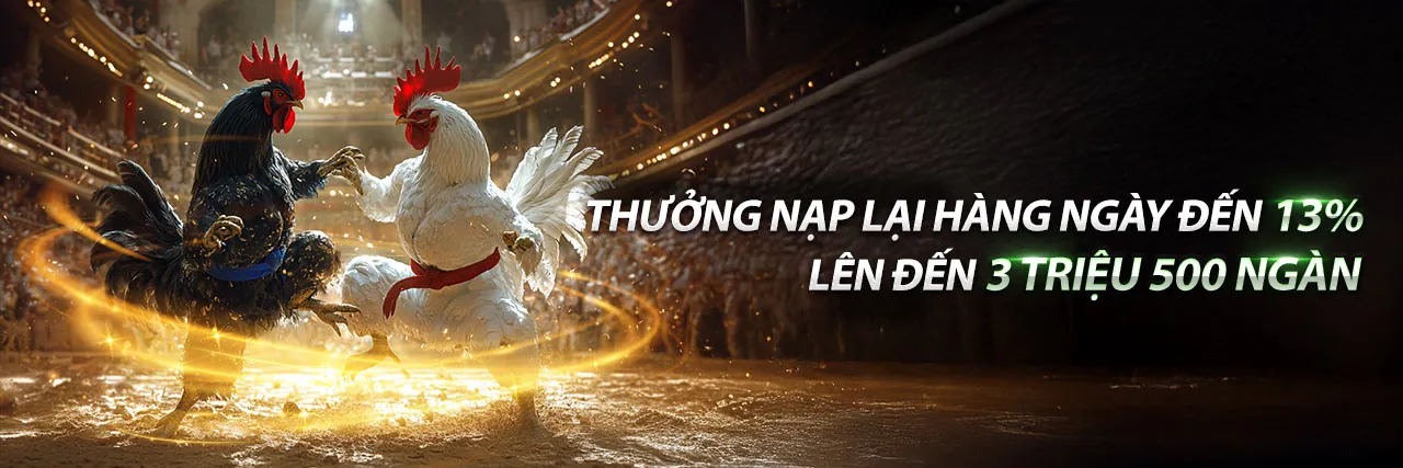 Banner khuyến mãi Win55 Đăng Nhập