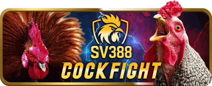 Hỗ trợ khách hàng chuyên nghiệp win55