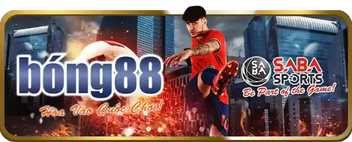 Cá cược bóng đá Win55